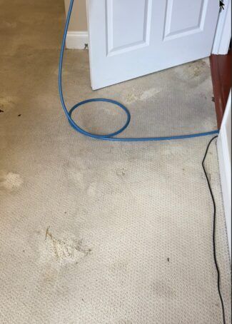 https://cdn-ildfpoh.nitrocdn.com/YUynCHHcJijkSGaMCHZGdMLOBOmCsEzp/assets/images/optimized/rev-346749e/andersoncertified.com/wp-content/uploads/2025/02/before_carpet_cleaning-e1740321719866.jpg